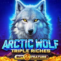PLAZA88 - Arctic Wolf Triple Riches | best online
