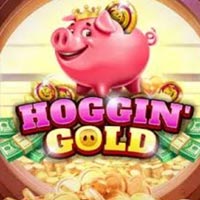 PLAZA88 - Hoggin Gold | best online