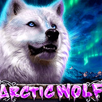 PLAZA88 - Arctic Wolf | slot online