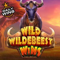 PLAZA88 - Wild Wildebeest Wins | slot online