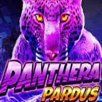 PLAZA88 - Panthera Pardus | best online